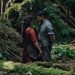 Hamnet Film Sonu Açıklaması: Hikâye Nasıl Bitiyor?
