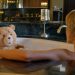 Ted Dizi Oyuncuları: Kadro ve Karakterler