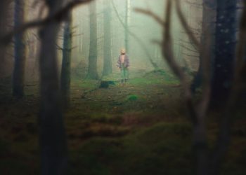 The Chestnut Man Sonu Açıklaması: Finalde Gerçek Ne Çıktı?