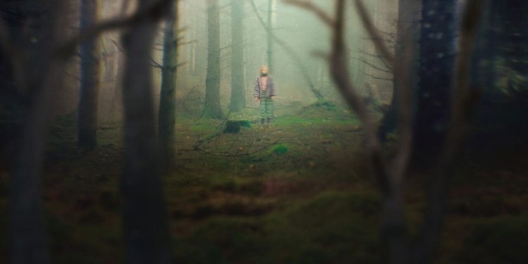 The Chestnut Man Sonu Açıklaması: Finalde Gerçek Ne Çıktı?