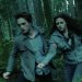 Twilight Oyuncuları ve Karakterleri: Filmde Kimler Var?