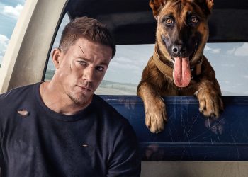 Dog 2022 Filmi Neden Bu Kadar Sevildi? Duygusal Hikâyenin Gücü