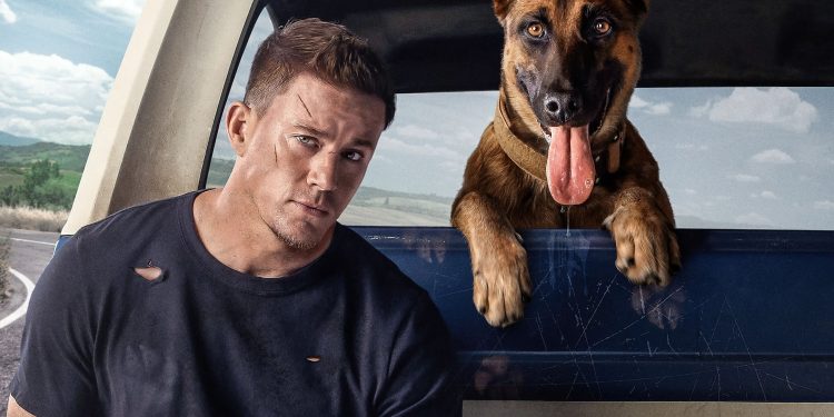 Dog 2022 Filmi Neden Bu Kadar Sevildi? Duygusal Hikâyenin Gücü