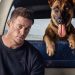 Dog 2022 Filmi Neden Bu Kadar Sevildi? Duygusal Hikâyenin Gücü