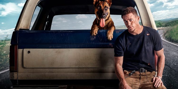 Dog Konusu: Film Ne Anlatıyor?