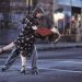 The Notebook Konusu: Film Ne Anlatıyor?