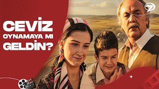 Ceviz Oynamaya mı Geldin Konusu Nedir? Film Ne Anlatıyor?
