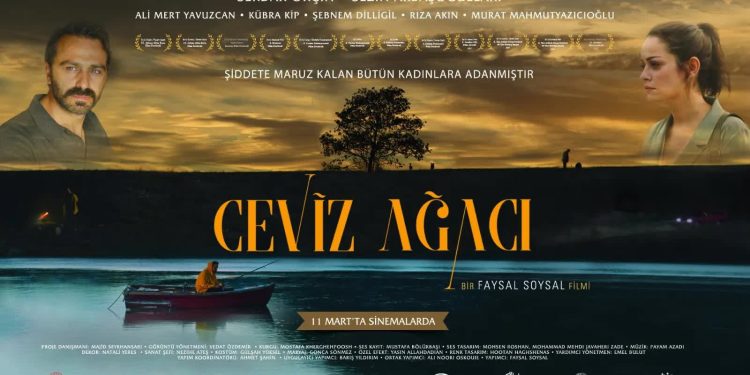 Ceviz Ağacı Film Konusu: Film Ne Anlatıyor?