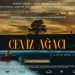 Ceviz Ağacı Film Konusu: Film Ne Anlatıyor?