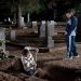 Karanlığın Altında Gerçek mi? Beneath the Darkness Ne Anlatıyor?