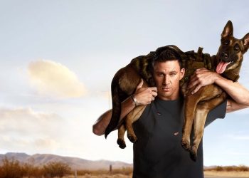 Dog 2022 Filmi Sonu Açıklaması: Finalde Ne Oldu?