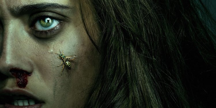 Yellowjackets Kaç Sezon? (2026) | 3. Sezon Bitti mi, 4. Sezon Gelecek mi?